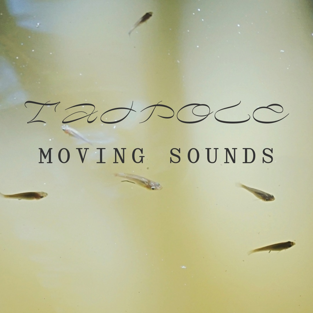 Tadpole: Moving Sounds